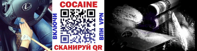 Cocaine FishScale  купить наркоту  Моздок 