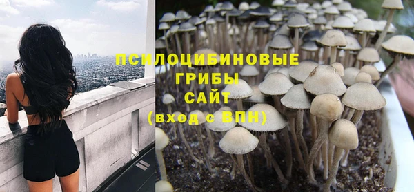дживик Алзамай