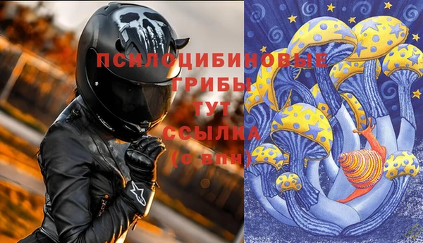 дживик Алзамай