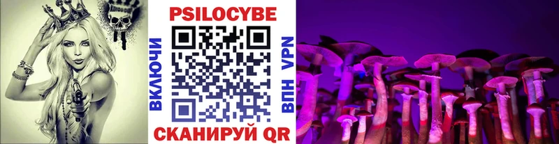Галлюциногенные грибы Magic Shrooms  как найти наркотики  Моздок 